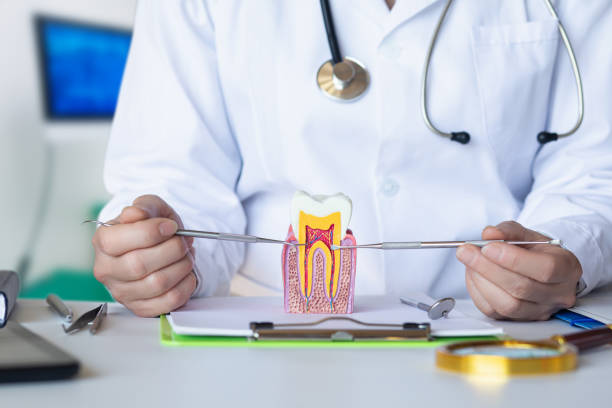 Best Emergency Treatment for Dental Infections or Abscesses in Fairfax Station, VA